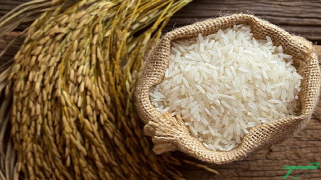 واردات برنج