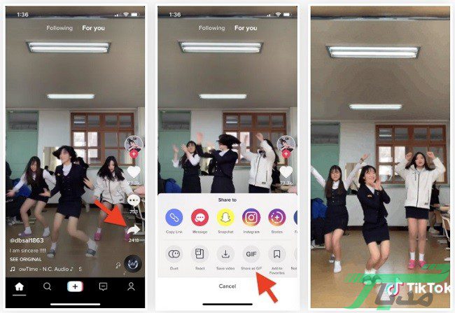 اپلیکیشن تیک توک