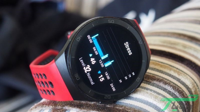 Watch GT2e