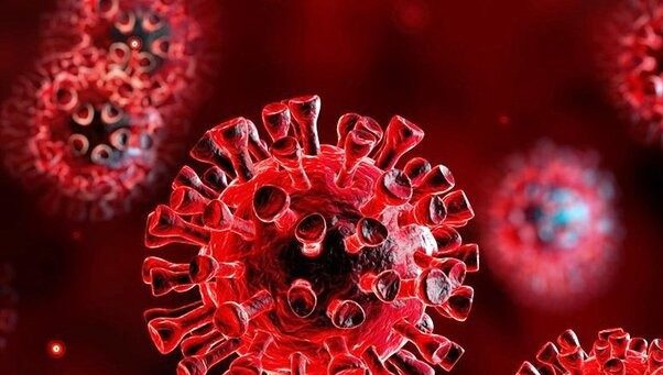 سویه XE کرونا چیست؟