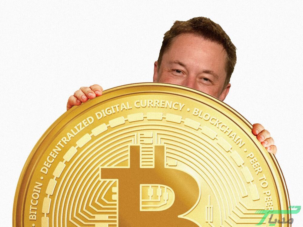 ترفند سرمایه گذاری حرفه ای در ارزهای دیجیتال | چطور بیشترین سود را کسب کنیم؟