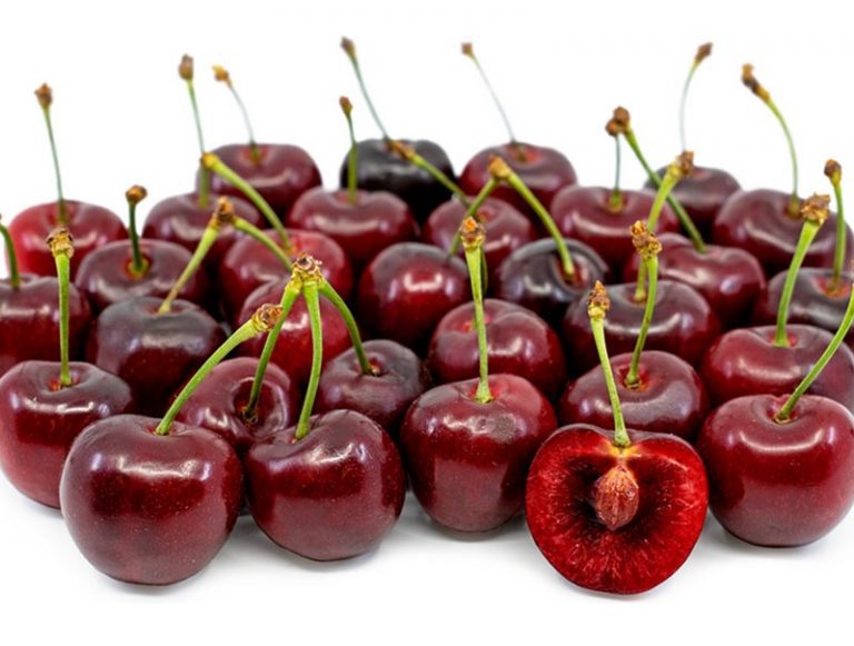 خواص و فواید گیلاس