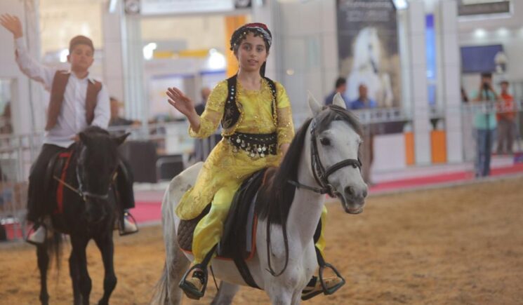 واردات اسب و پرسش‌هایی از سازمان توسعه تجارت؟