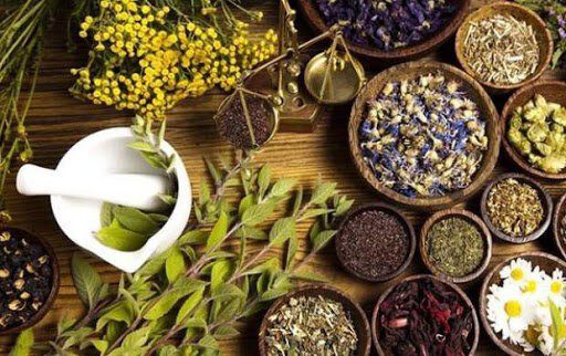 انواع طب سنتی و پزشکان حاذق آن را بشناسیم