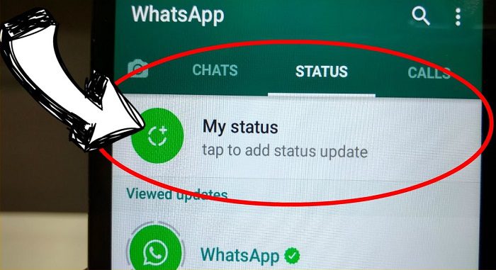 آپدیت جدید واتساپ محبوبیت بخش استاتوس را بیشتر می‌کند