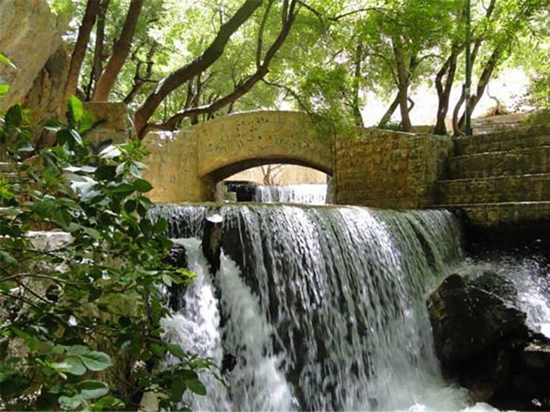 پارک جنگلی یاسوج