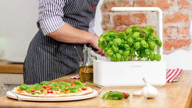 باغچه‌های گیاهی سرپوشیده