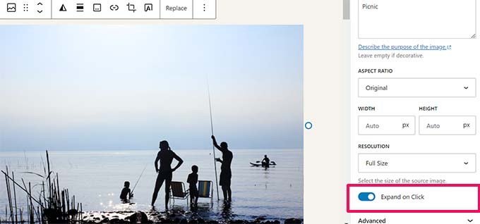 برجسته‌سازی تصاویر 