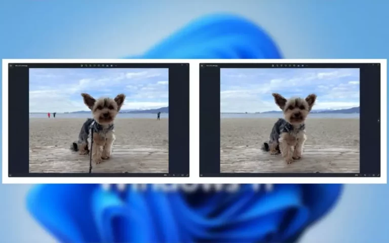 قابلیت حذف اشیاء و اشخاص تصویر در ویندوز 11 اضافه شد