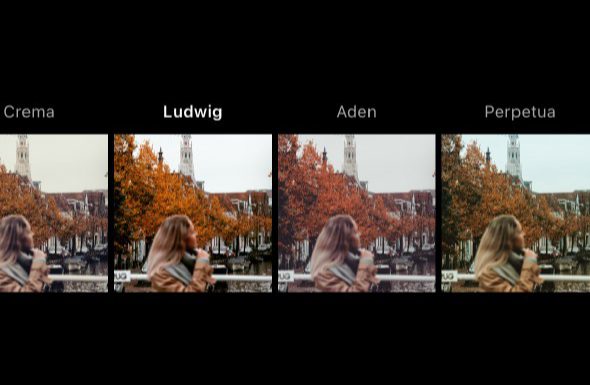 2. Ludwig: یک گزینه همهکاره