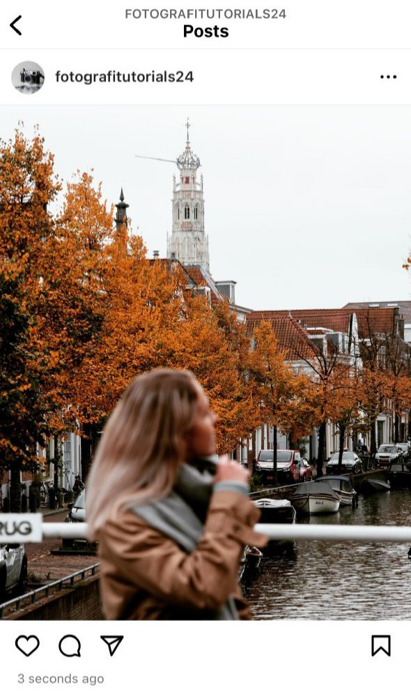 2. Ludwig: یک گزینه همهکاره