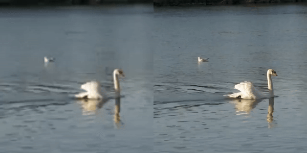 ادوبی هوش مصنوعی VideoGigaGAN را معرفی کرد؛ افزایش خیرهکننده کیفیت ویدیوها