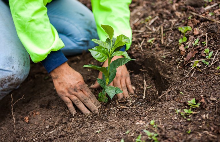 با net zero پروژه جدید نستله بیشتر آشنا بشید