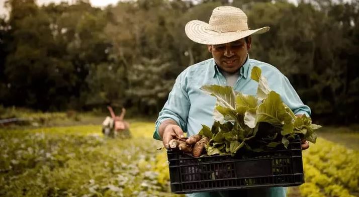 مسیر کیفیت: چگونه نستله استانداردهای خود را از مزرعه تا سفره ارتقا می‌دهد